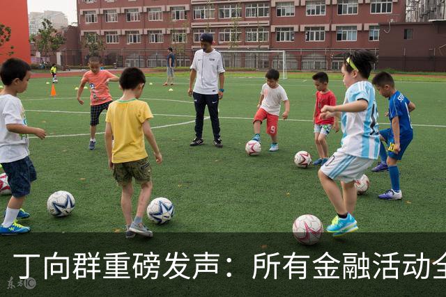 丁向群重磅发声：所有金融活动全部纳入监管，监管制度要成“带电高压线”