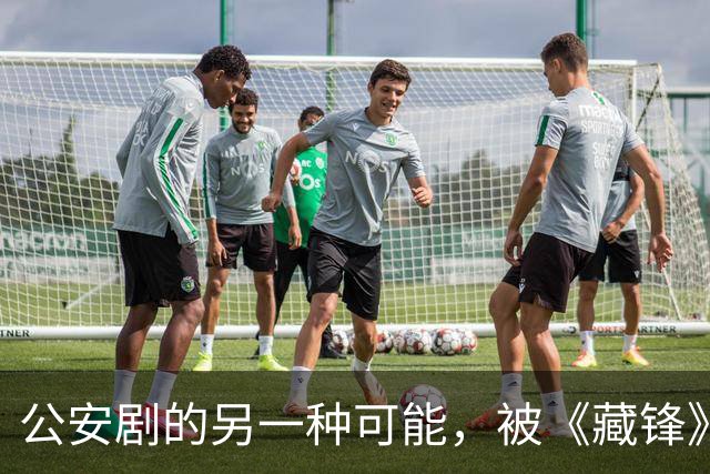 公安剧的另一种可能，被《藏锋》拍出来了